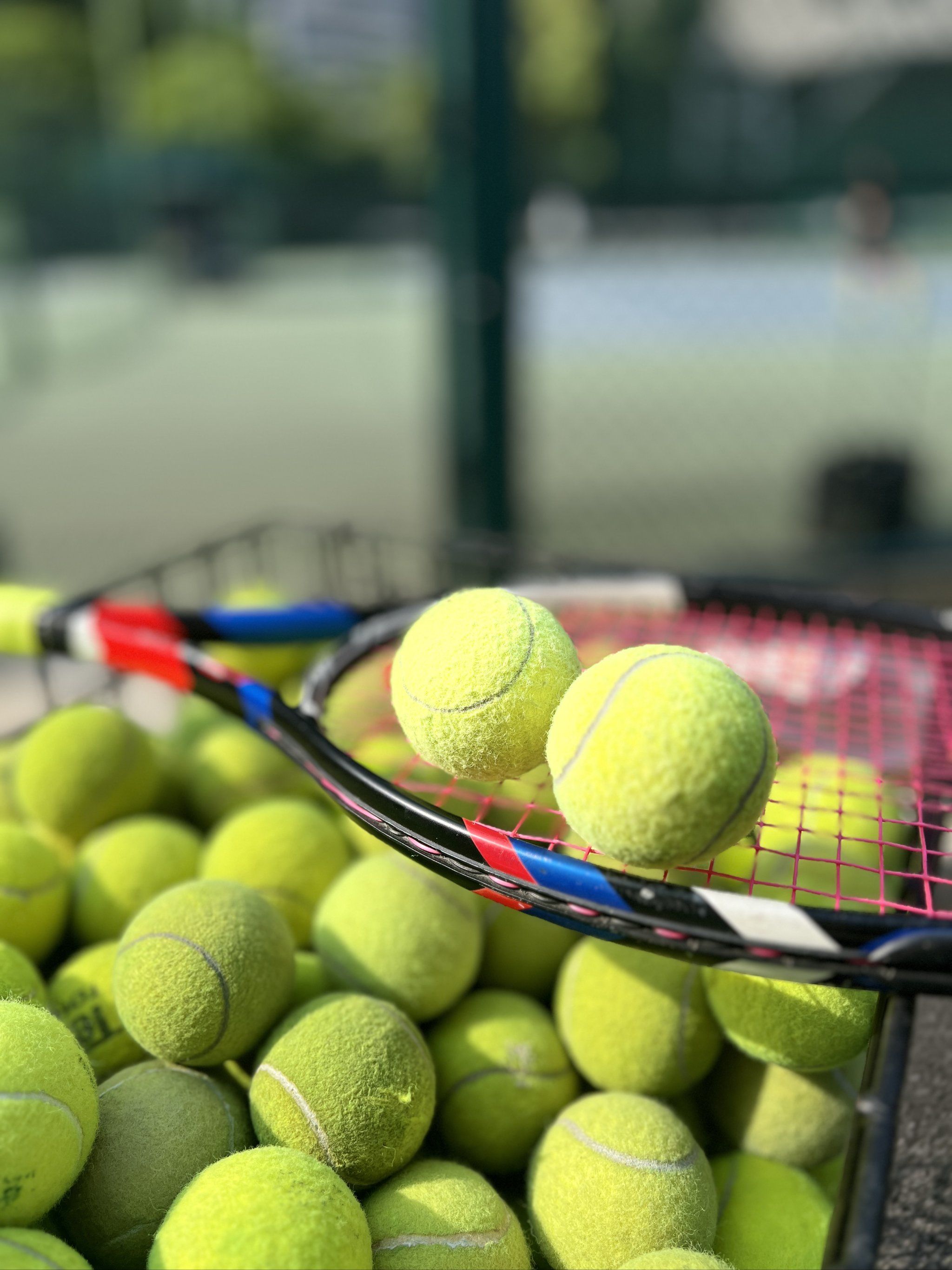 的高楼大厦 的高楼大厦